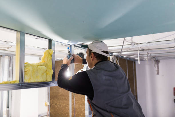 Best Insulation for Specific Applications in USA